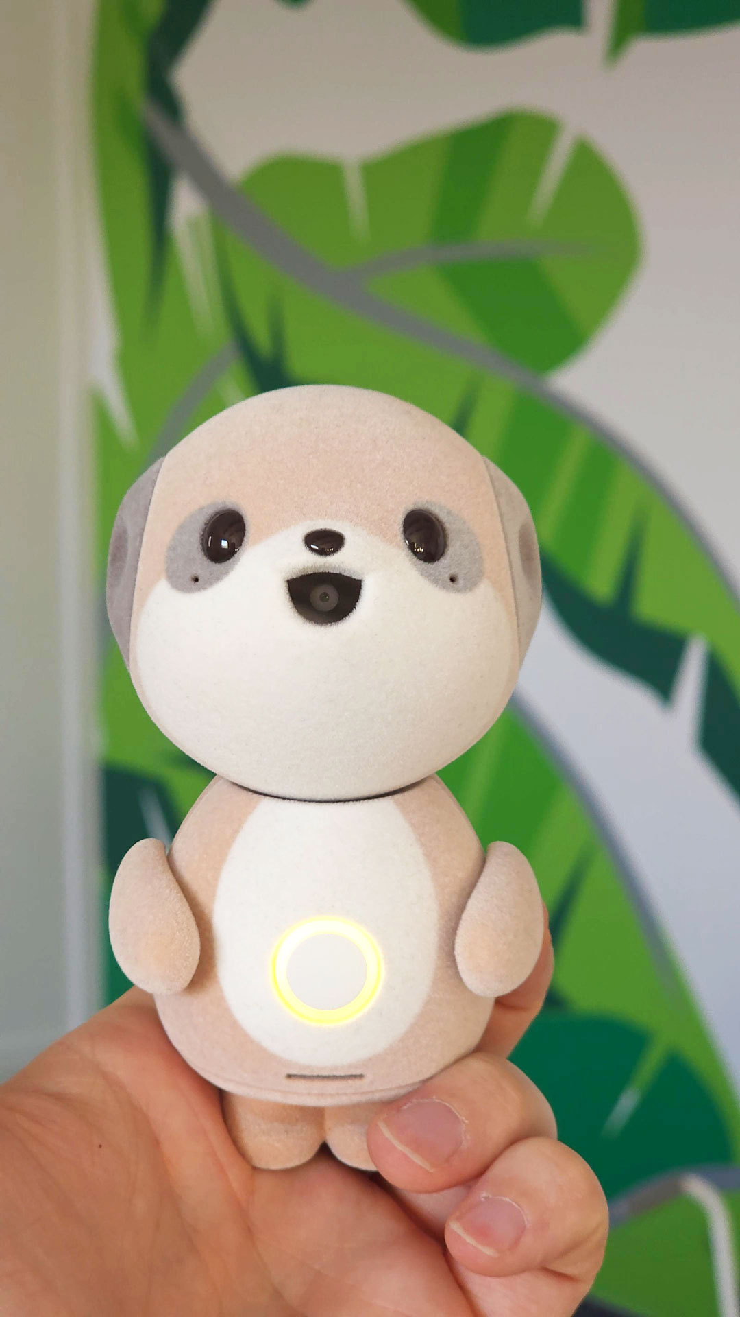 Japoński mini-robot AI w biurze ICHIGO® Katowice - technologia i nauka języka