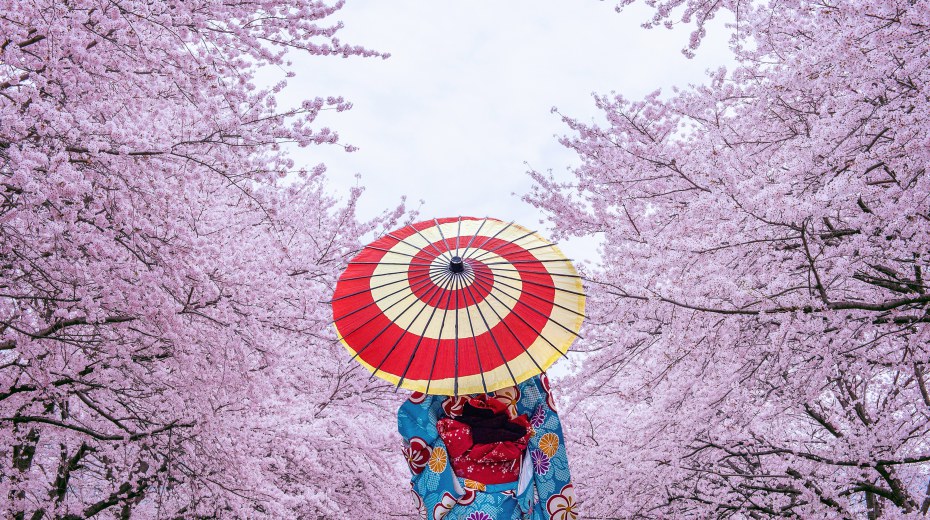 wycieczka do japonii plan