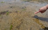 Pakiet “MIEDZIANY” - Relaks w gorących źródłach Arima Onsen