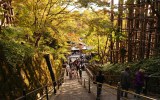 Pakiet “MIEDZIANY” - Relaks w gorących źródłach Arima Onsen