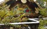Pakiet “ZŁOTY” - Relaks w gorących źródłach Arima Onsen