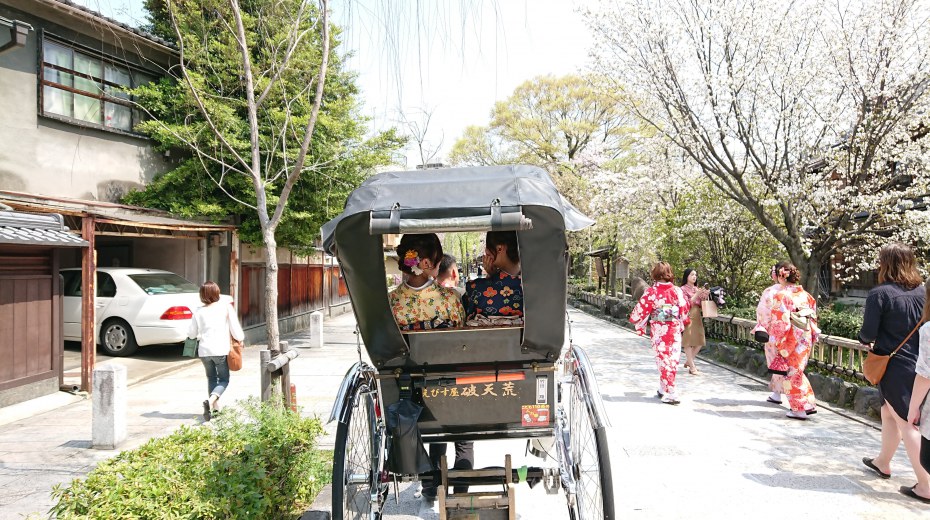 "MANDATORY" Package - Cherry Blossom HANAMI * (high season)