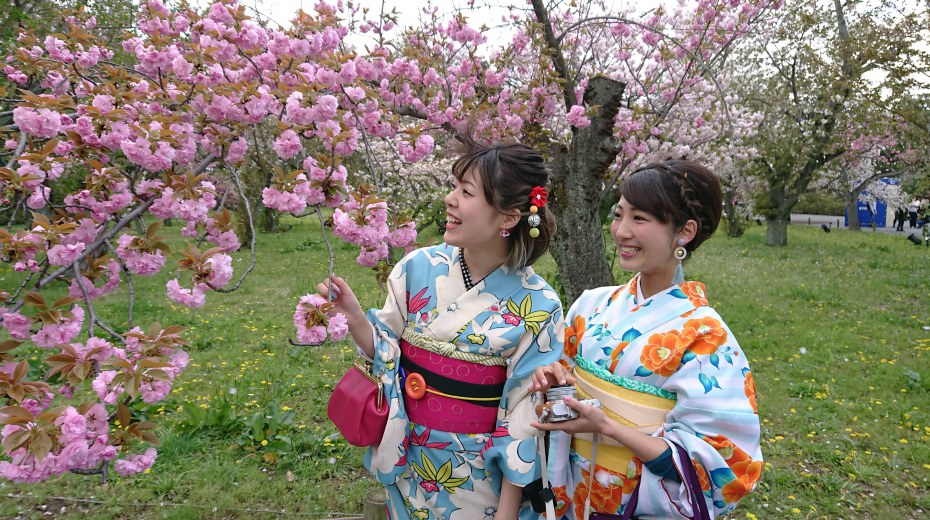 Pakiet “PREMIUM” - Kwitnienie wiśni HANAMI *(wysoki sezon) Pakiet “PREMIUM” - Kwitnienie wiśni HANAMI *(wysoki sezon)
